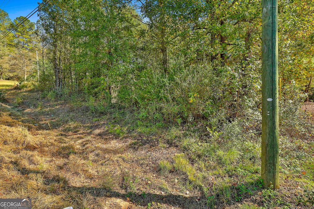 LOT 2 Raymond Hill Road, Newnan, GA 30265 — photo 2