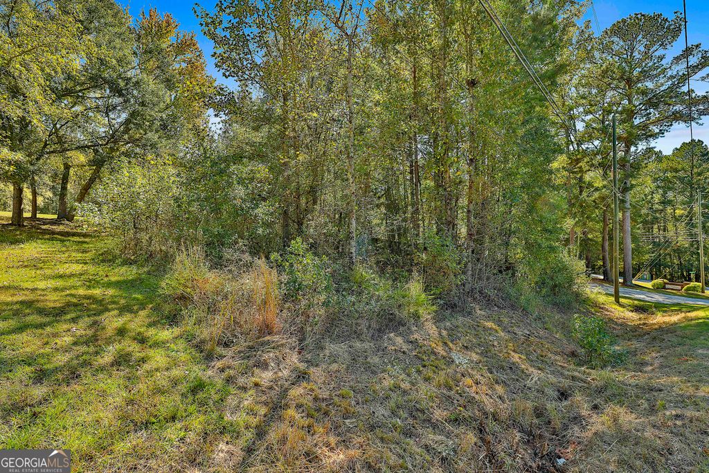LOT 2 Raymond Hill Road, Newnan, GA 30265 — photo 3