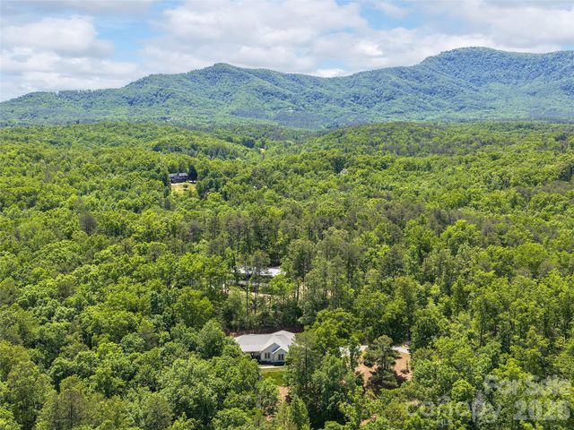 232 Wild Haven Way, Mill Spring, NC 28756