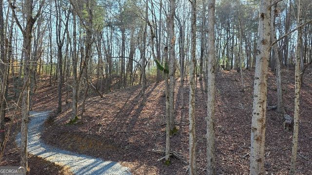 136 Red Oak Trail, East Ellijay, GA 30540