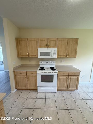 14501 Silversmith Circle, Spring Hill, FL 34609