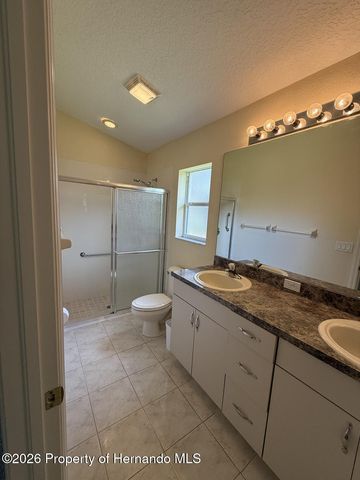 14501 Silversmith Circle, Spring Hill, FL 34609