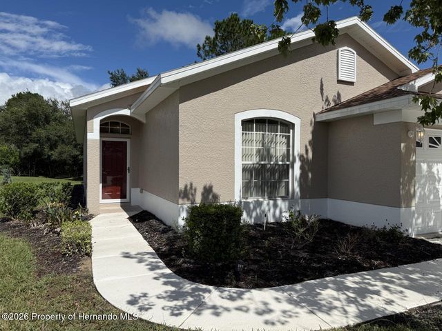 14501 Silversmith Circle, Spring Hill, FL 34609