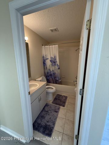 14501 Silversmith Circle, Spring Hill, FL 34609