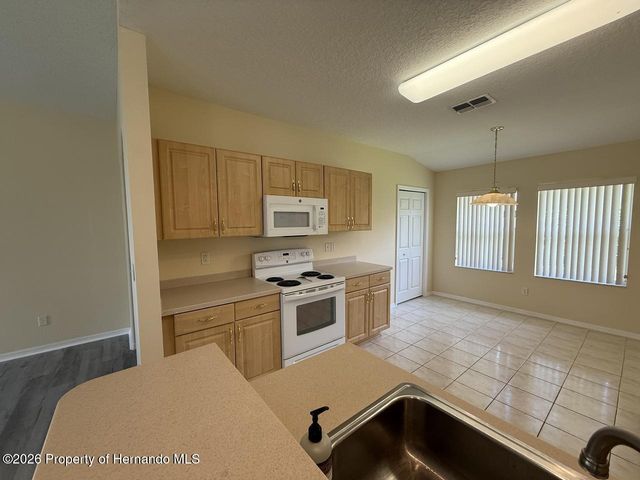 14501 Silversmith Circle, Spring Hill, FL 34609