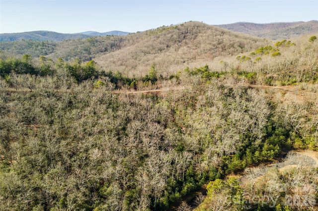 99999 Mills River Way 108, Horse Shoe, NC 28742