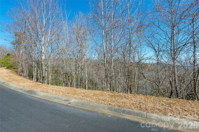 99999 Mills River Way 108, Horse Shoe, NC 28742