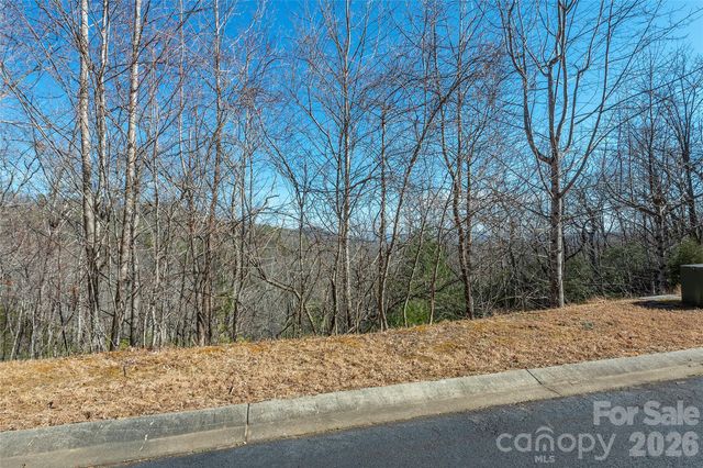99999 Mills River Way 108, Horse Shoe, NC 28742