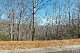 99999 Mills River Way 108, Horse Shoe, NC 28742