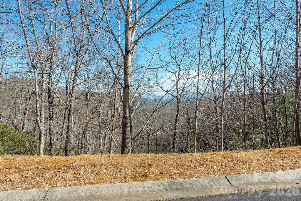 99999 Mills River Way 108, Horse Shoe, NC 28742