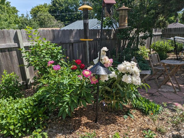 298 Washburn Avenue N, Minneapolis, MN 55405