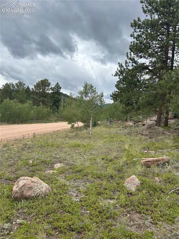 155 County Road 403, Florissant, CO 80816 — exterior