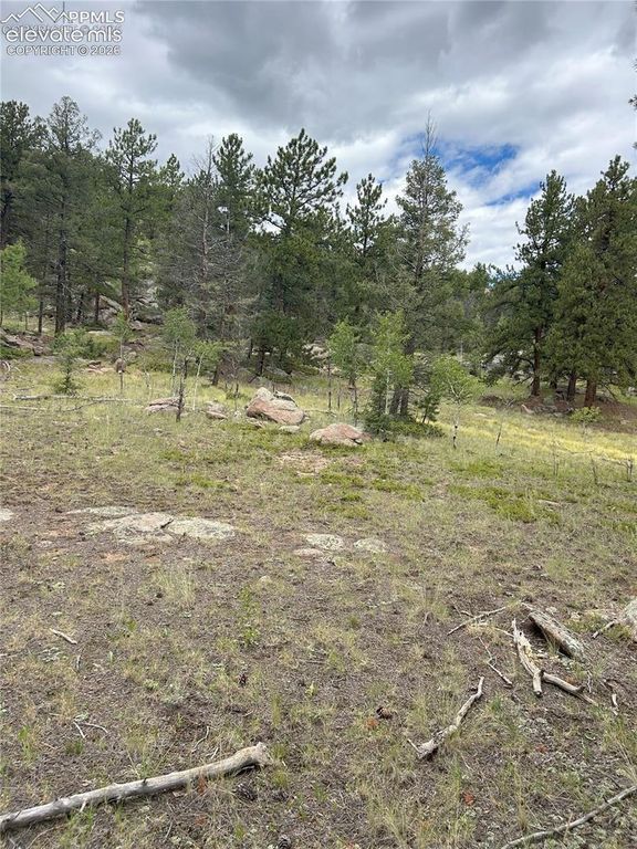 155 County Road 403, Florissant, CO 80816 — photo 2