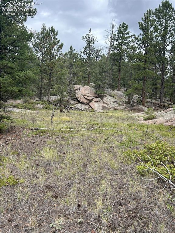 155 County Road 403, Florissant, CO 80816 — photo 3