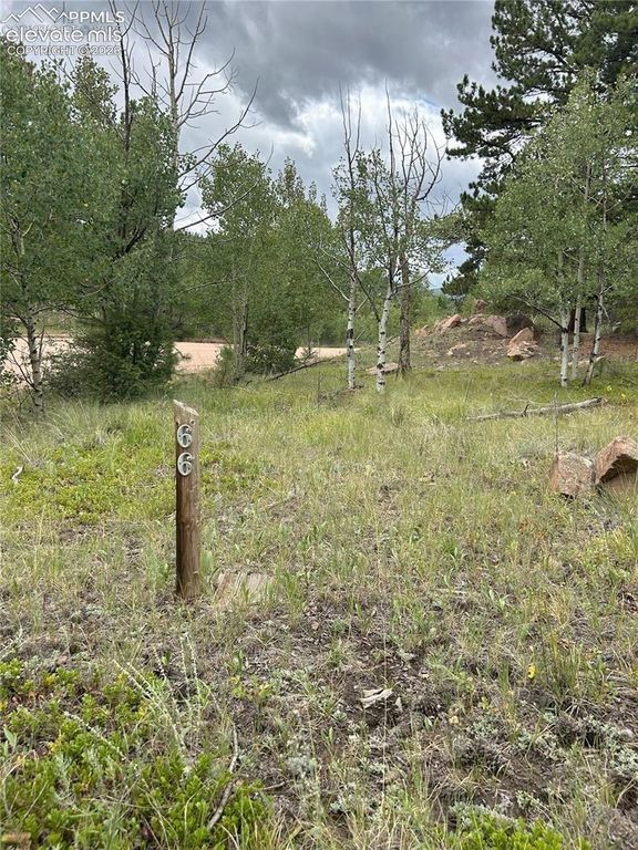 155 County Road 403, Florissant, CO 80816 — photo 5