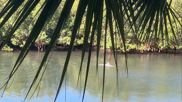 464 BAHIA BEACH BOULEVARD, Ruskin, FL 33570