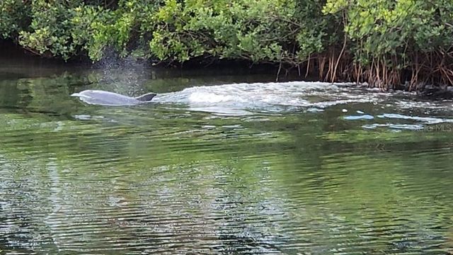 464 BAHIA BEACH BOULEVARD, Ruskin, FL 33570