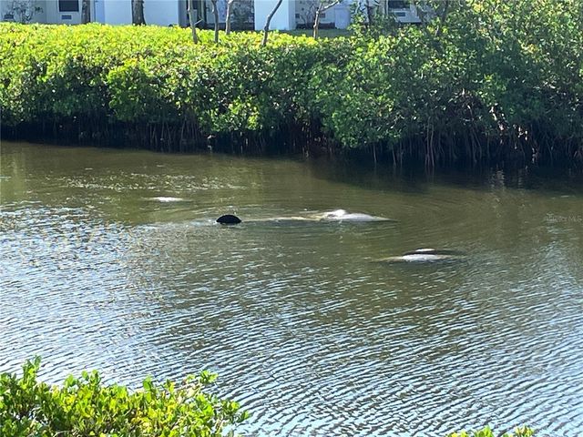 464 BAHIA BEACH BOULEVARD, Ruskin, FL 33570