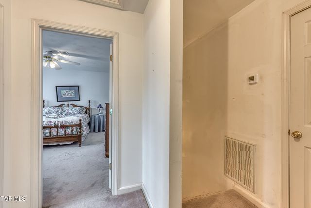 306 Burley Shouns Lane, Mountain City, TN 37683