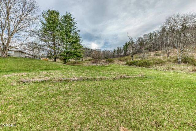 306 Burley Shouns Lane, Mountain City, TN 37683