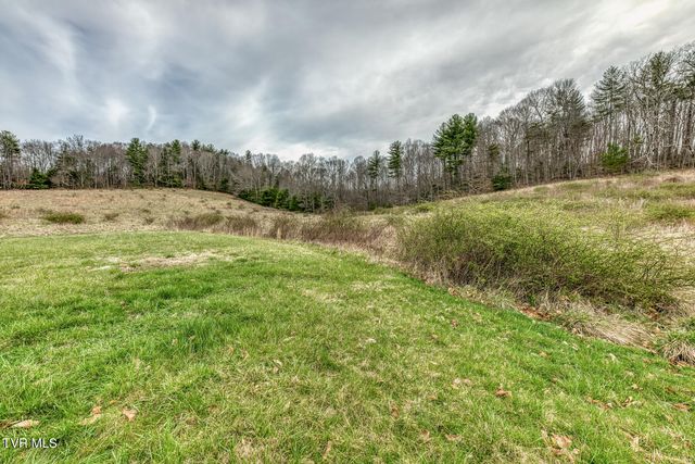 306 Burley Shouns Lane, Mountain City, TN 37683