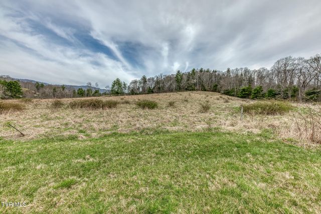 306 Burley Shouns Lane, Mountain City, TN 37683