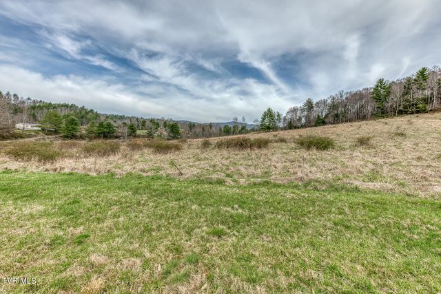 306 Burley Shouns Lane, Mountain City, TN 37683