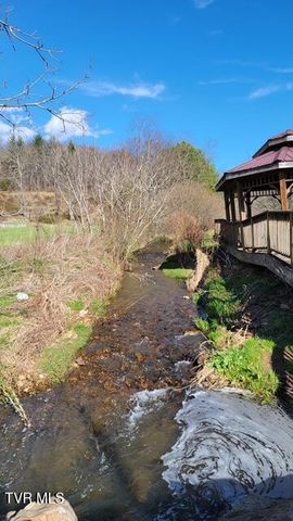 306 Burley Shouns Lane, Mountain City, TN 37683