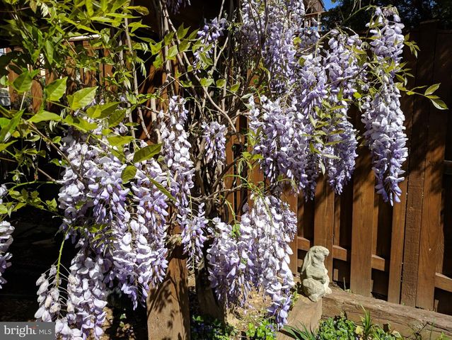 6543 TARTAN VISTA DR, Alexandria, VA 22312