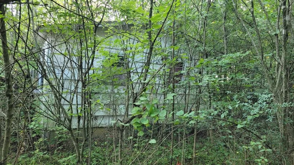 225 David Williams Rd, Bell Buckle, TN 37020