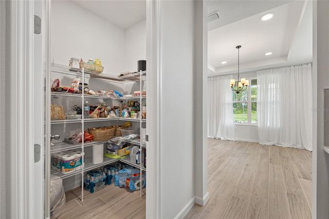 17372 GLOSSY POMELO WAY, Winter Garden, FL 34787