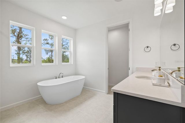 17372 GLOSSY POMELO WAY, Winter Garden, FL 34787
