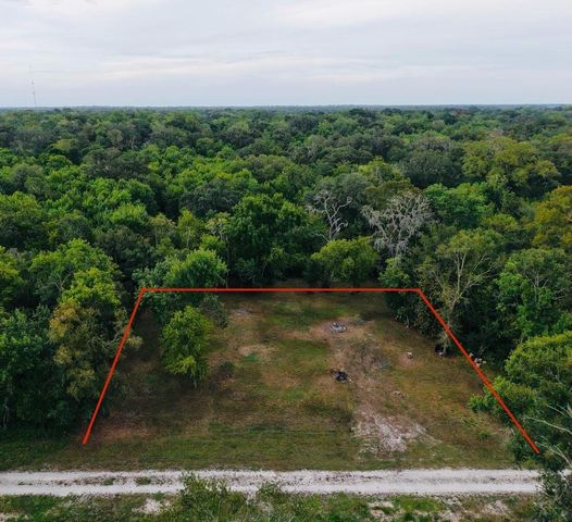 0 Elm Cr 825c Street, West Columbia, TX 77486