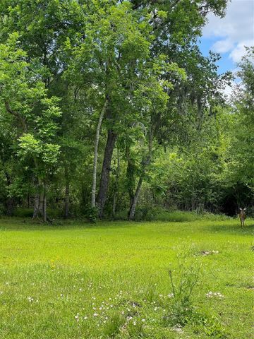 0 Elm Cr 825c Street, West Columbia, TX 77486