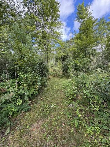 E1501 PENNY LANE, Iola, WI 54945