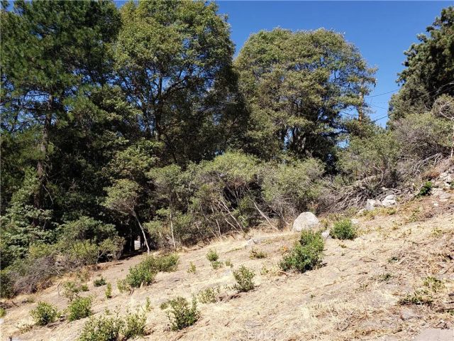 25134 Grandview, Crestline, CA 92325