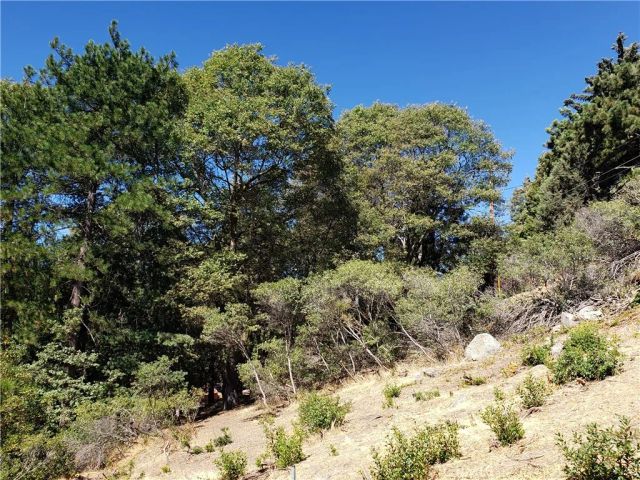 25134 Grandview, Crestline, CA 92325