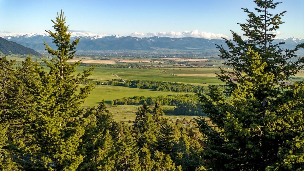 TBD Evan Reese Road, Belgrade, MT 59714 photo 12