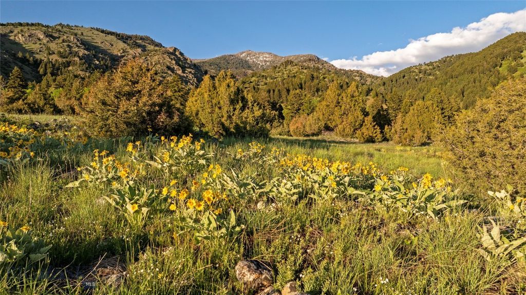 TBD Evan Reese Road, Belgrade, MT 59714 photo 21