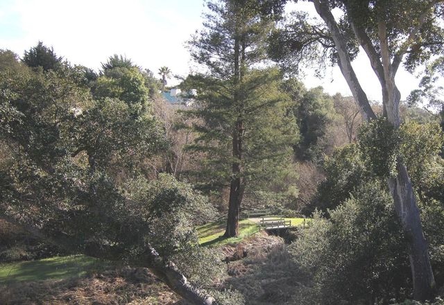 800 Brommer 91, Santa Cruz, CA 95062