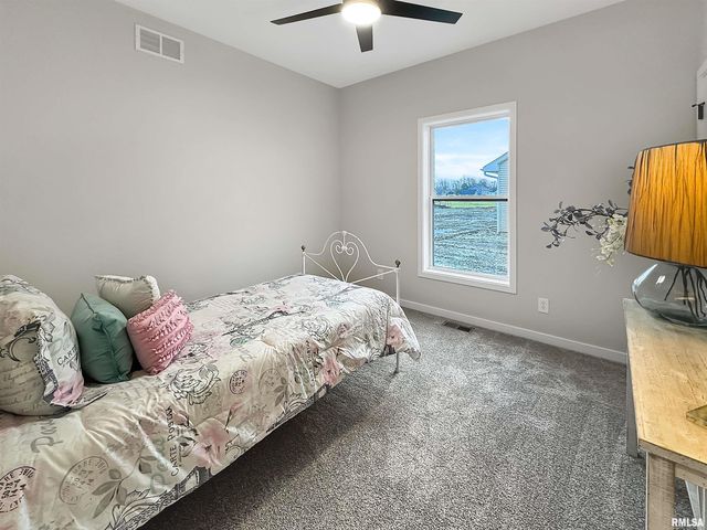 27 Neylon Street, Mt Sterling, IL 62353