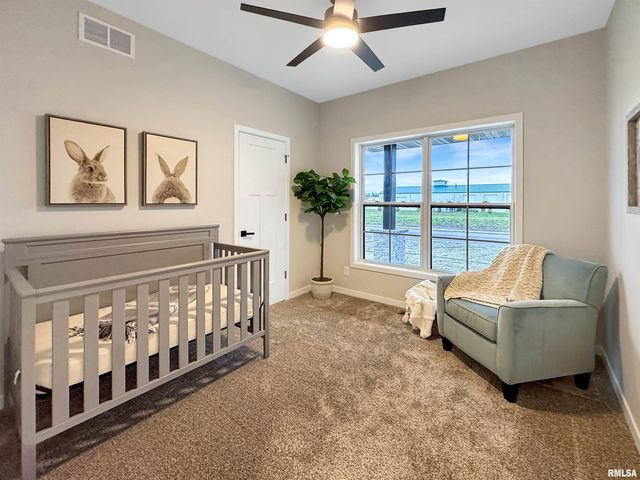 27 Neylon Street, Mt Sterling, IL 62353