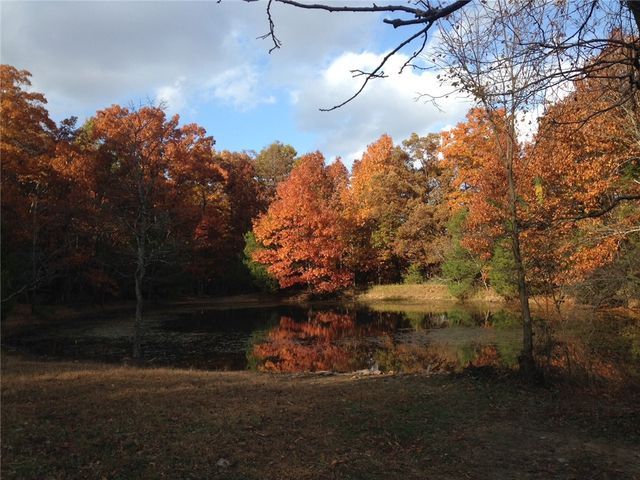TBD Mineral Springs Road, West Fork, AR 72774