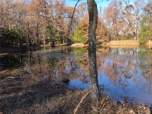 TBD Mineral Springs Road, West Fork, AR 72774