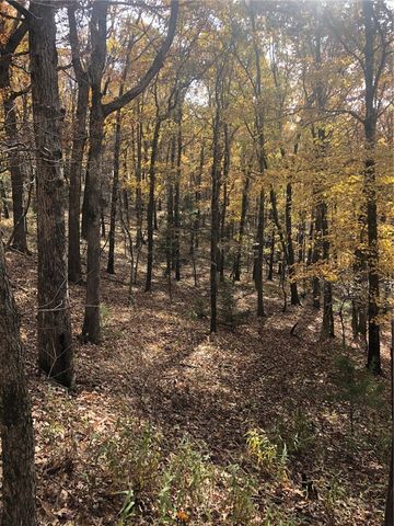 TBD Mineral Springs Road, West Fork, AR 72774