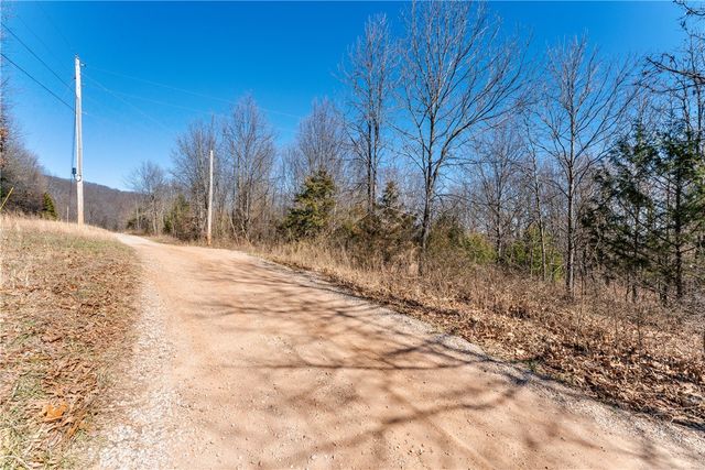 TBD Mineral Springs Road, West Fork, AR 72774