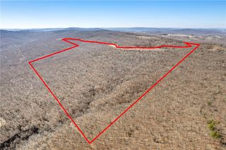 TBD Mineral Springs Road, West Fork, AR 72774