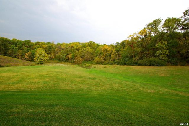 10703 52ND Street Court W, Milan, IL 61264