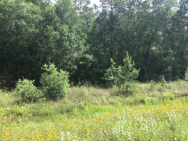 0 Hwy 90, Liberty, TX 77538