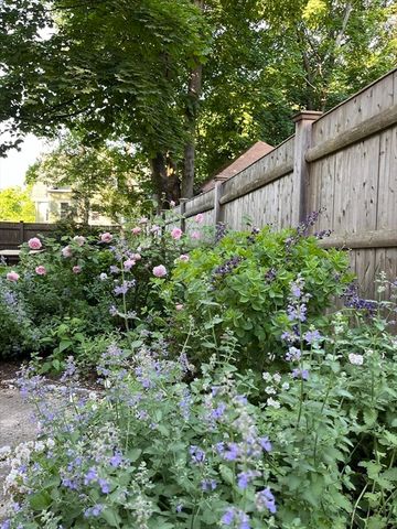 34 Harvard St 1, Arlington, MA 02476